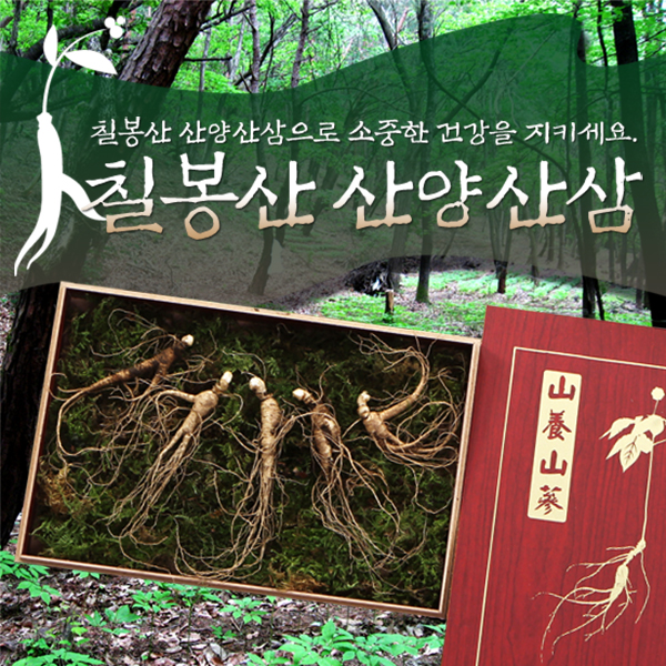 강원도 횡성 칠봉산 산양삼농원 산양산삼 8년산 3뿌리 산양삼 장뇌삼