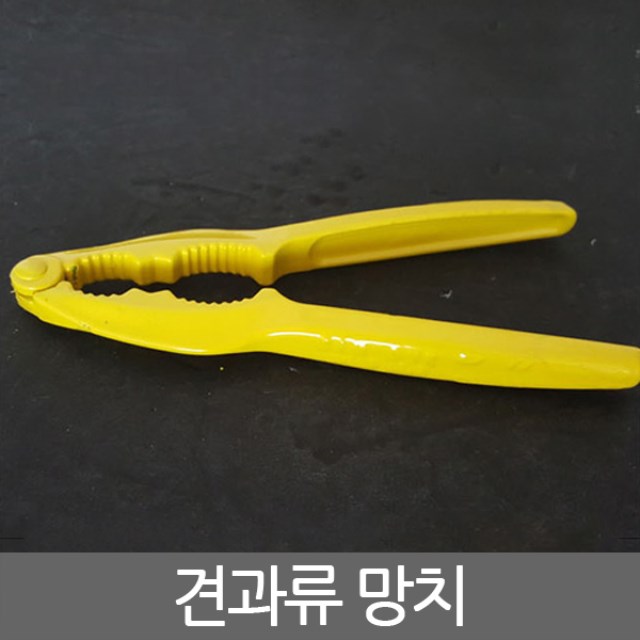 기타견과류