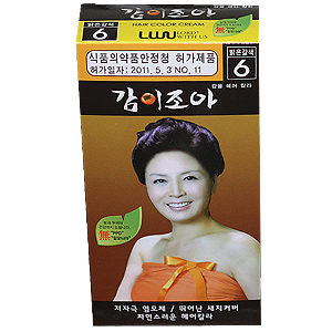 감이조아 감물 헤어 칼라 160g
