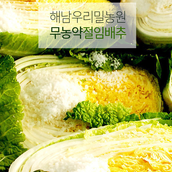 해남우리밀농원 무농약 절임배추 20kg