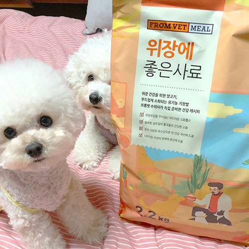프롬벳 위장에 좋은 사료