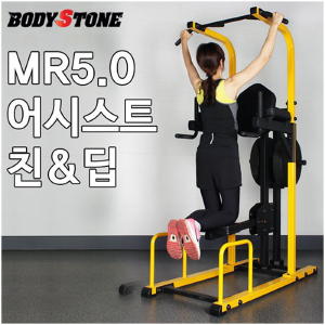 바디스톤 바디스톤 바디스톤 - 어시스트 친 딥 MR5 0 근력운동 택배발송 바디스톤 MR5 0