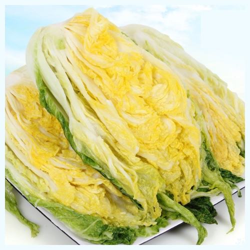 괴산청정김치 절임배추 10kg