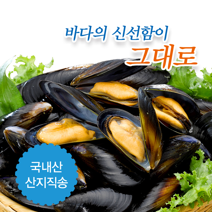 금진수산 금진수산 생생이 홍합 5kg