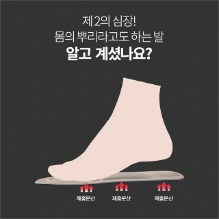 트렌드세터 기능성 깔창 A 0079
