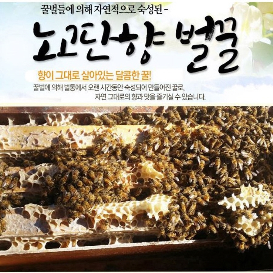 노고단향 자연숙성꿀 아카시아꿀 지리산토종꿀 천연벌꿀 2 4kg