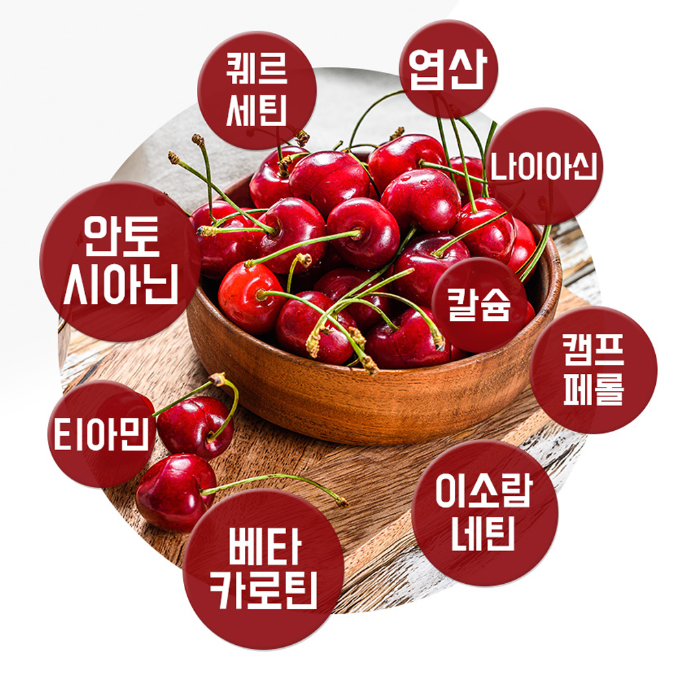 천연채 타트체리 콜라겐 분말 100g