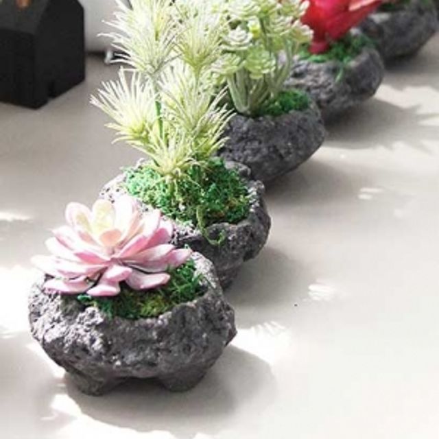 화산송이 선인장 화분 실내 인테리어 디자인 화