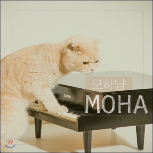 미러볼뮤직 CD 모하 Moha - 모하냥