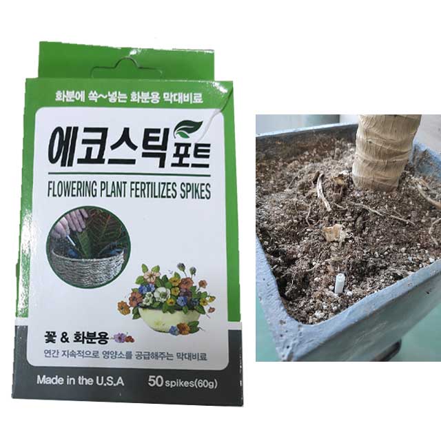 에코스틱 50개 화분용 연간지속적으로 비료공급
