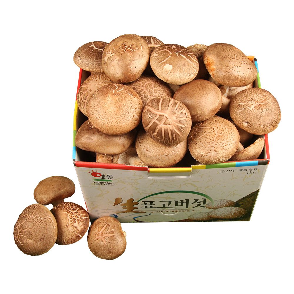 생표고버섯 상 1kg