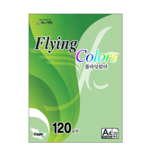 삼원특수지 삼원특수지 플라잉칼라 E23 밝은녹색 A4 120g 20매