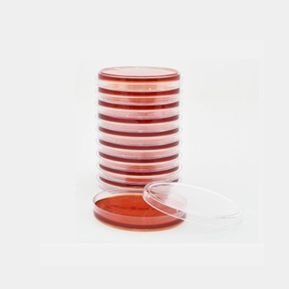메디온 MEDION 메디온 식품공전 대장균군 배양배지 생배지 Desoxycholate Lactose Agar DCLA 20plate