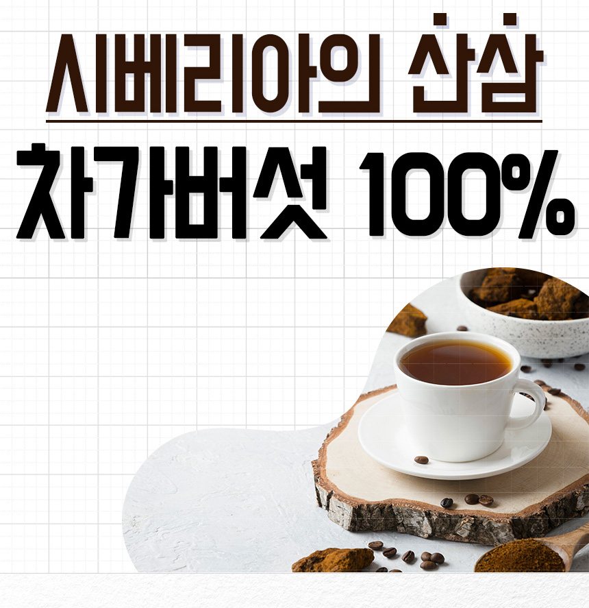 건강플러스 천연채 차가버섯 분말 120g