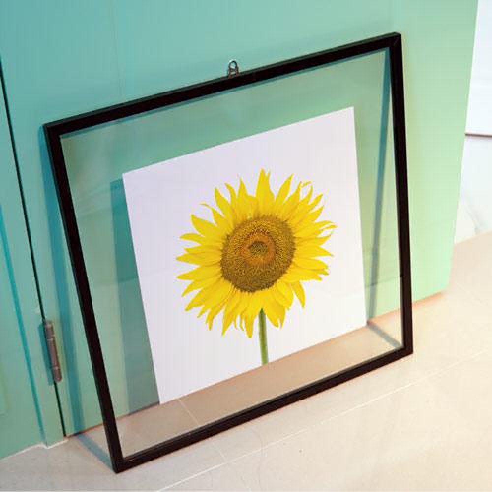 꾸밈 ac690-투명액자56CmX56Cm 재물해바라기한송이