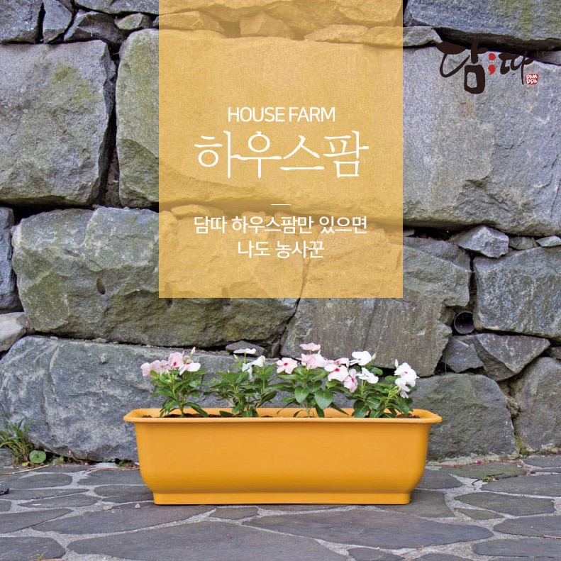 담따 담따 국산 화분 하우스팜 베란다 텃밭 실내 옥상 대형