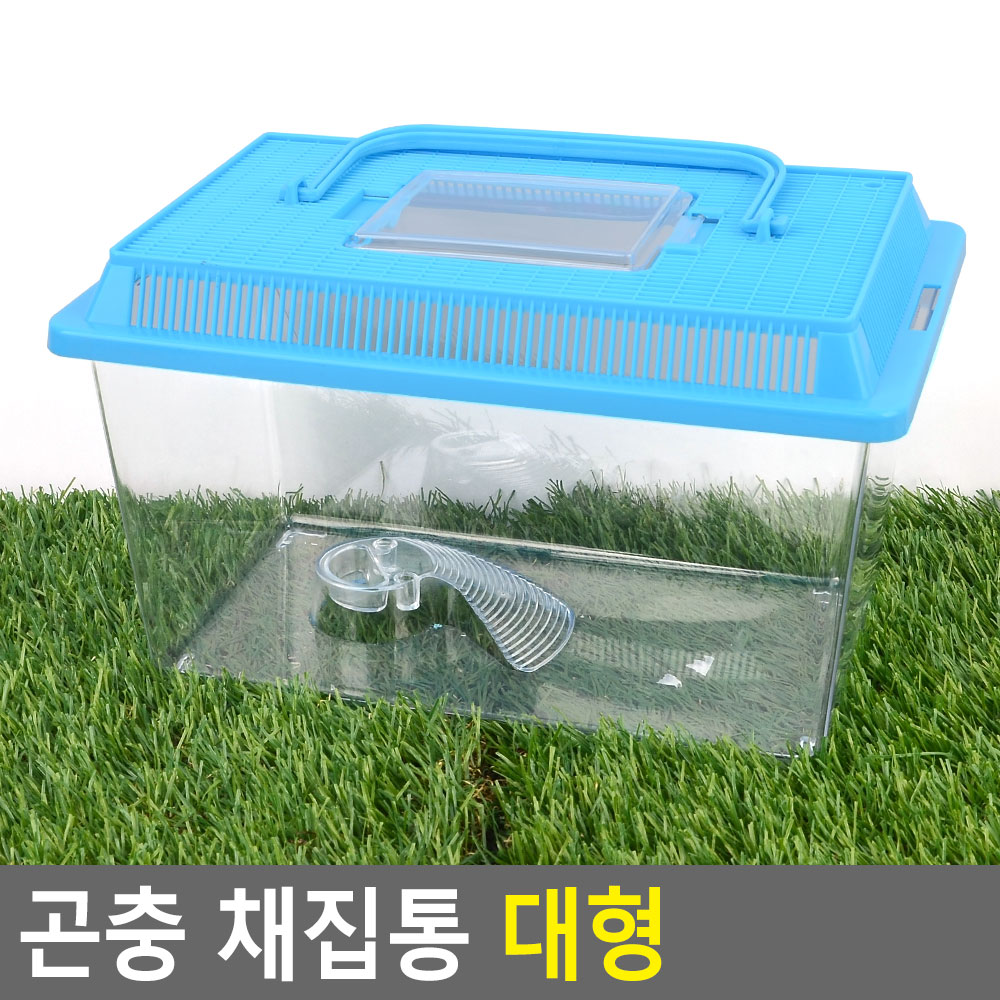 곤충 채집통 곤충통 달팽이 사육통 투명 유충통 대형