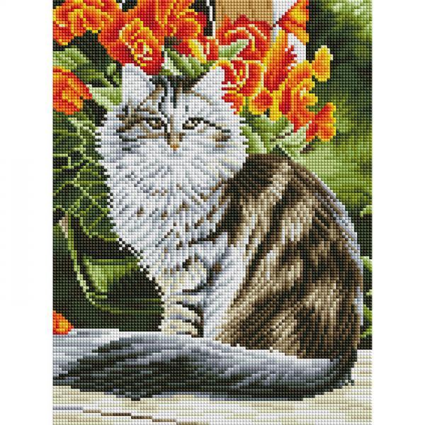 메인쿤 고양이 캔버스 보석십자수 30x40