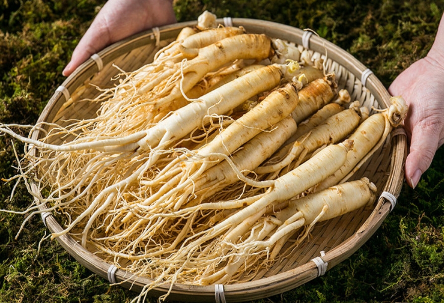 금산백년가족 인삼 세척 삼계용 수삼 대 750g 1개
