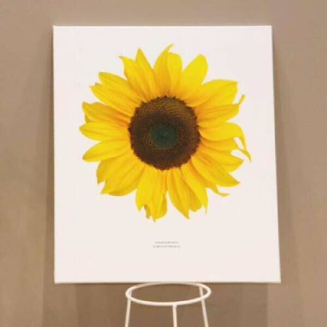 꾸밈 ga567-캔버스액자53x45 5 행복한해바라기