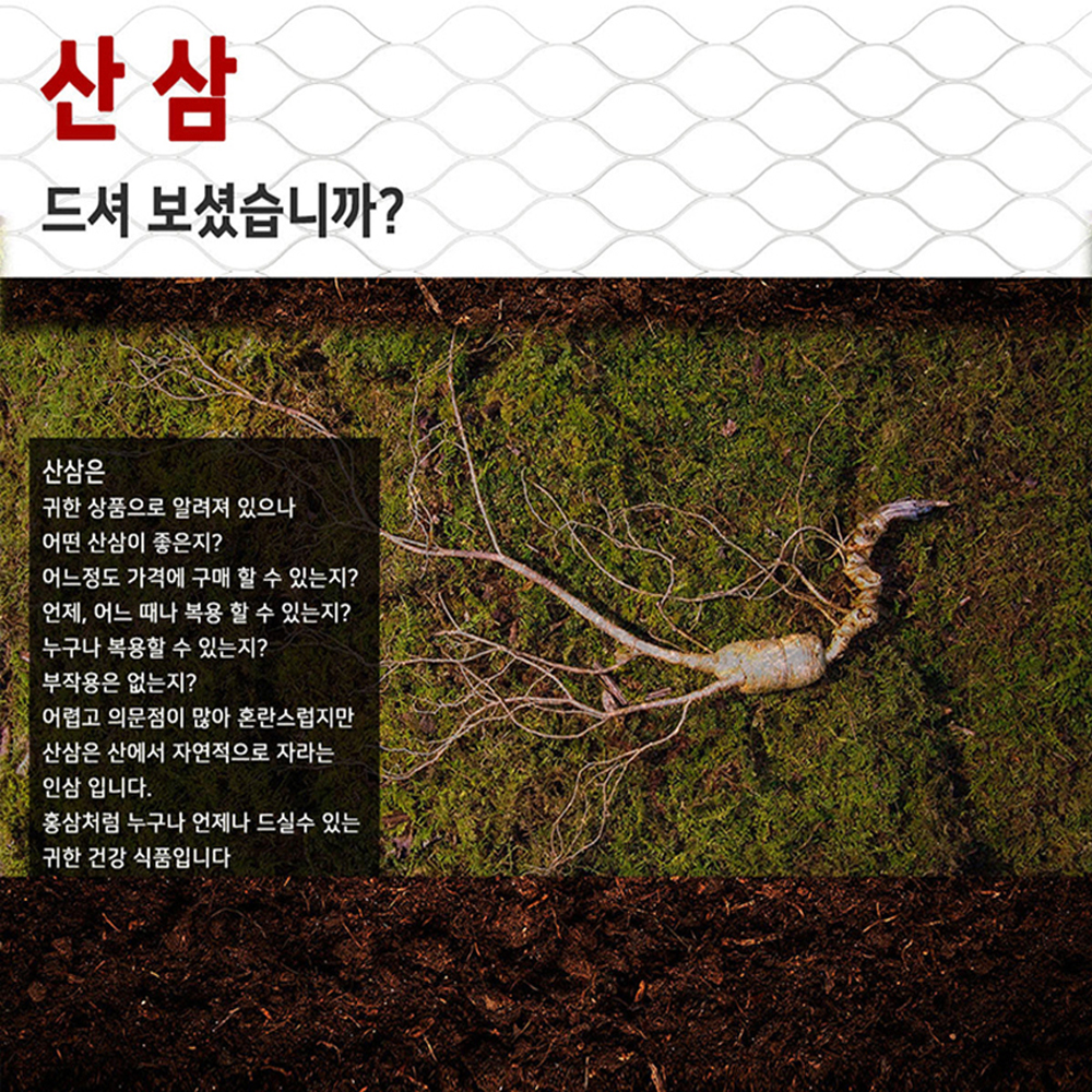 천년정성 천년정성 비트로시스 산삼배양근 그대로 생체함유 산삼 홍삼농축액 진세노사이드 특이 사포닌 부모님 지인 선물세트