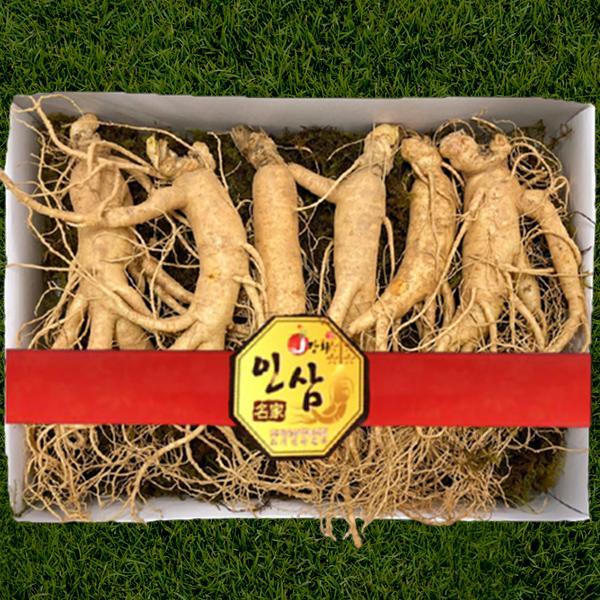 UNKNOWN Fresh 강화도 인삼 수삼 5년근 수삼1채 750g 10-15뿌리 선물용