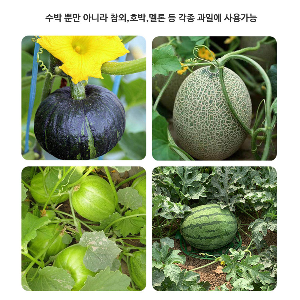 수박 참외 호박 무름방지 받침 5개1셋트
