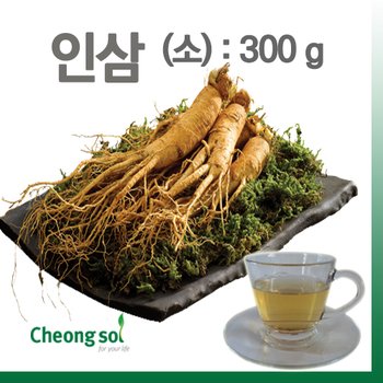 인삼 소 300g