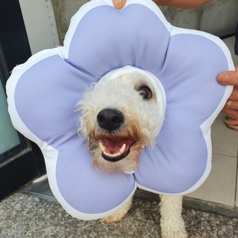 꽃피는 강아지 고양이 쿠션 넥카라 L