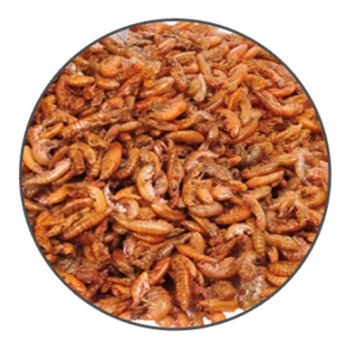 거북이사료 감마루스 열대어먹이 30g 거북이밥