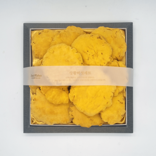청림농원 원형 상황버섯 버섯 선물세트 250g