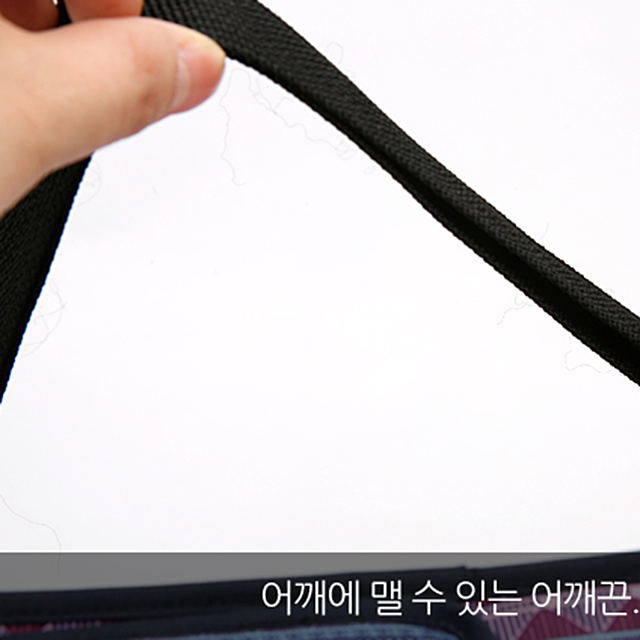 오너클랜 인디 쿨러백 22L B WFG1IPG