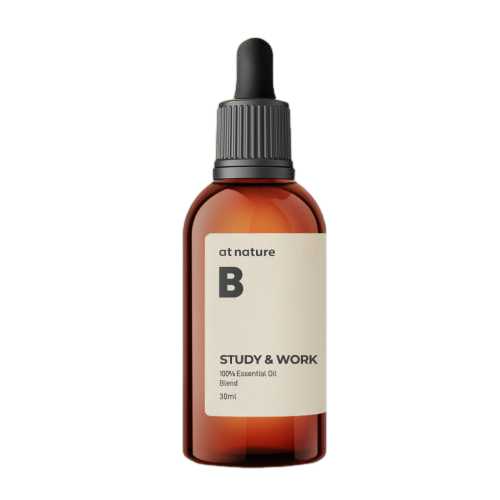앳네이처 스터디 앤 워크 에센셜 오일 30ml