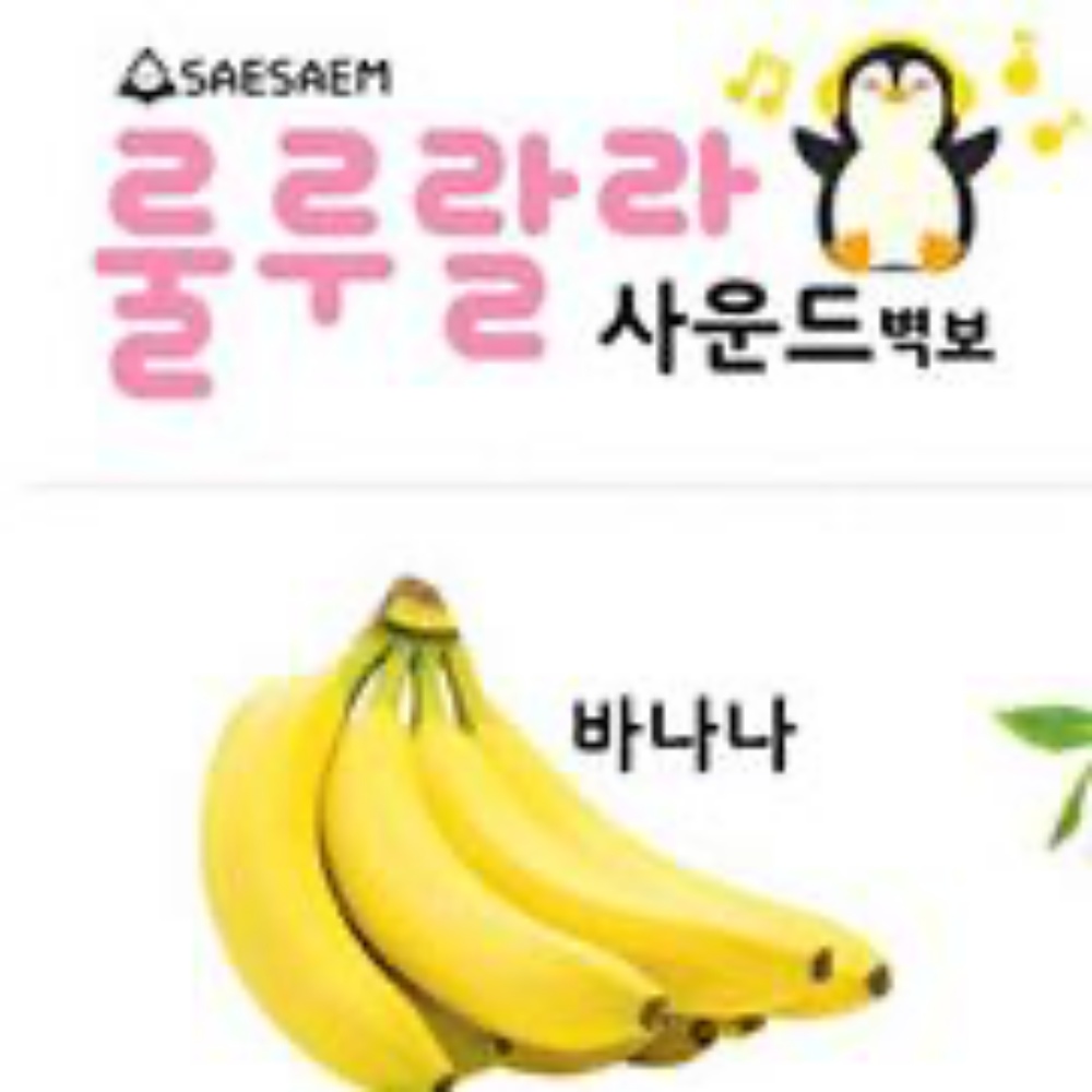 사운드 양면 벽보 - 룰루랄라 과일 채소