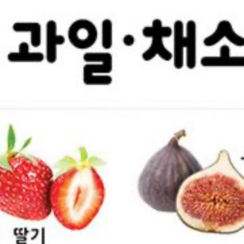 사운드 양면 벽보 - 룰루랄라 과일 채소