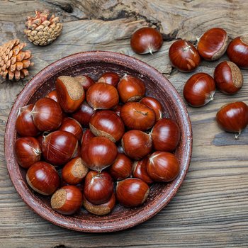 부스터랩 공주 정안 알밤 특대 1kg