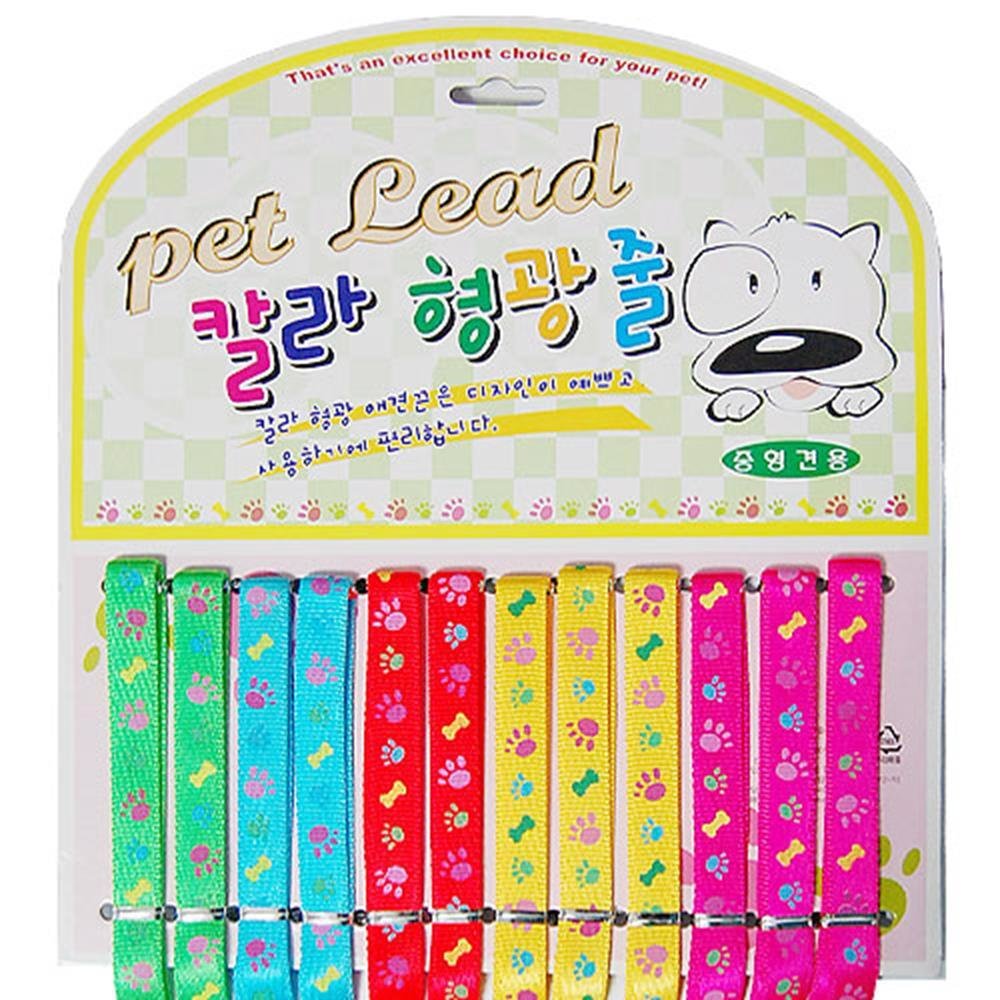 도기프랜드 칼라 형광 목줄세트 1판 12개