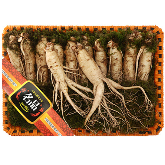 트레이더스 고려인삼 금산 행복한삼 수삼 왕 특 1호 1kg 11 13편