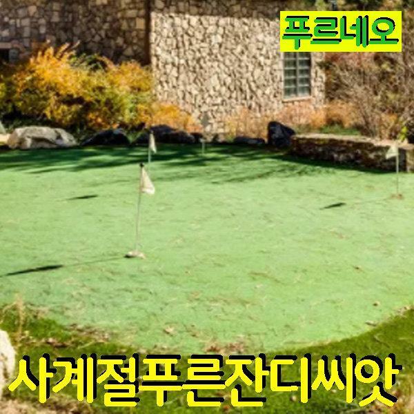 푸르네오 사계절 푸른 잔디씨 잔디씨앗 10 용 골프장용 마사토 용