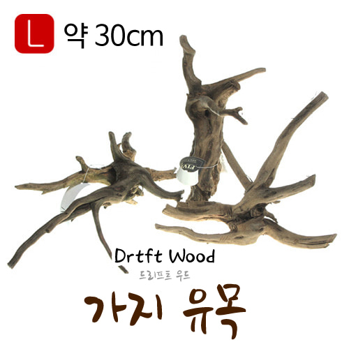 드리프트우드 가지유목 ’L사이즈’