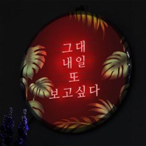 꾸밈 nr 액자25R 우리내일또 556-LED