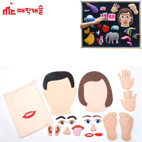 매직캐슬 토독 대 신체