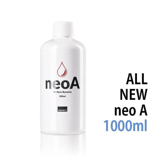네오 Neo A - ALL NEW 네오 A -
