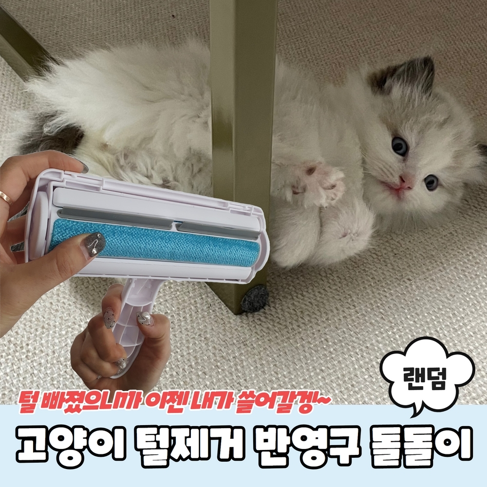고양이털 털제거 반영구 돌돌이