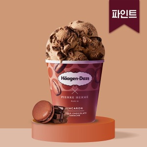 하겐다즈 하겐다즈 하겐다즈 더블 초코 가나슈 마카롱 파인트