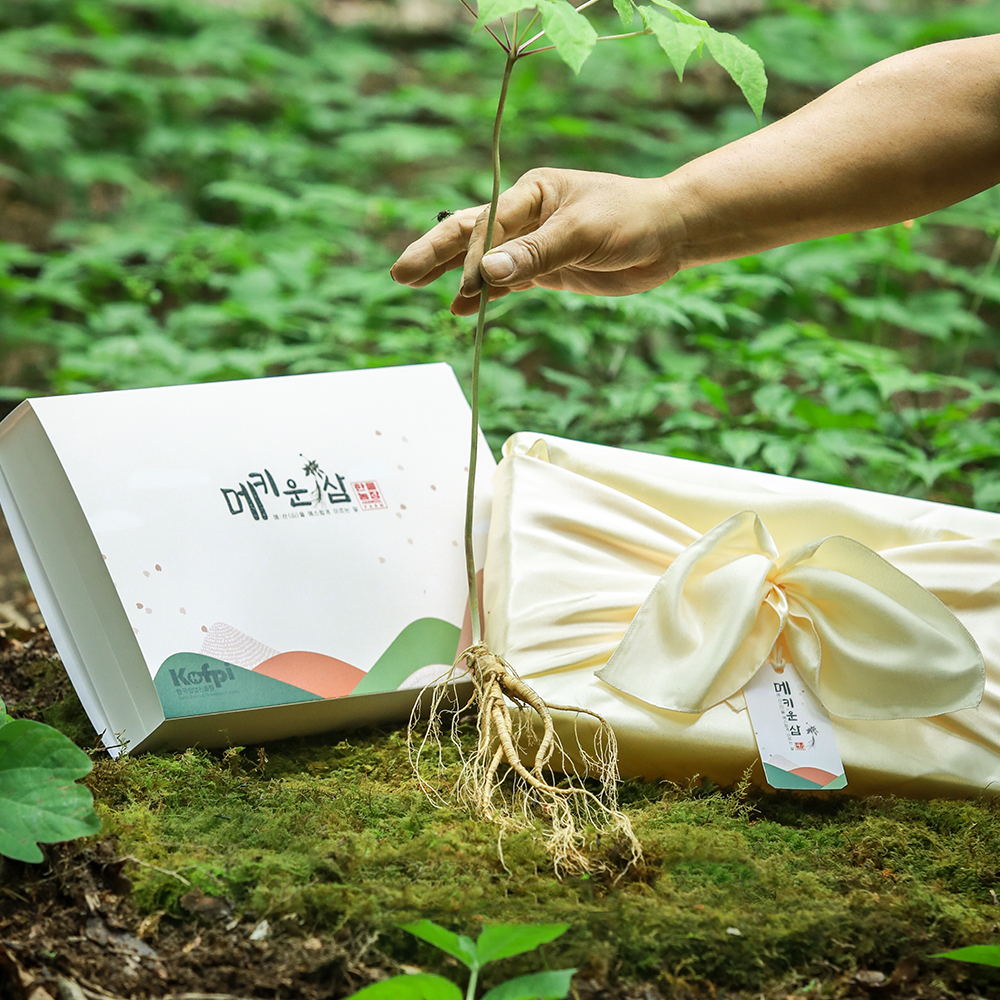 메키운삼 산양산삼 10년근 A급 산삼 산양삼