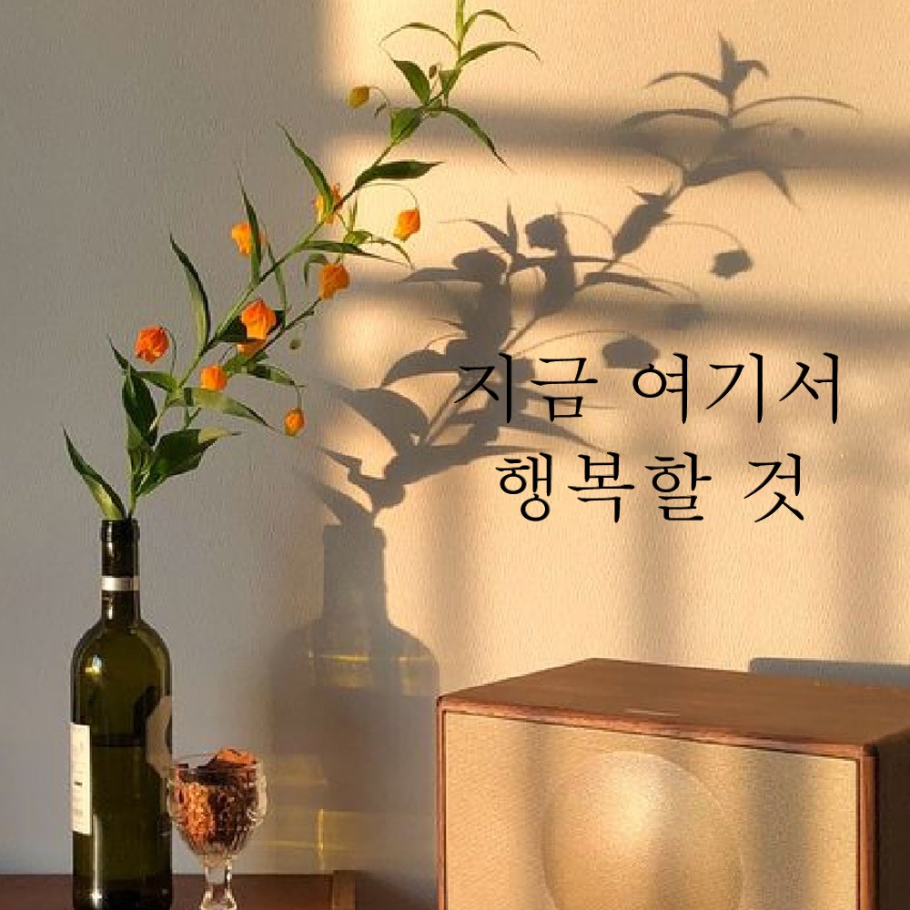 MUSE 뮤즈 지금 여기서 행복할 것 레터링 글귀 스티커 시트지 S