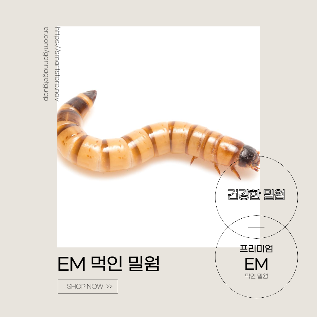 모두의 방주 EM먹인 영양이 풍부한 살아있는 생 밀웜 500마리부터 3000마리까지 사이즈 극소 소 중 대 1000마리 극소 선택안함 1개