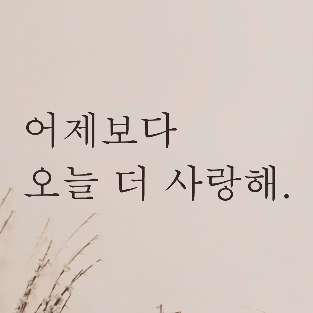 어썸투데이 감성 문구 레터링 스티커 어제보다 오늘 더 사랑해 M 흰색 L-101