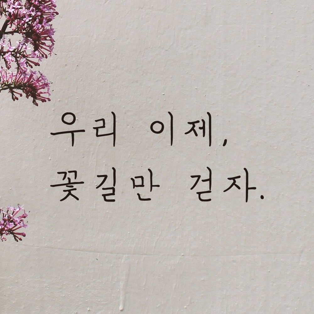 모노먼트 모노먼트 손글씨 감성 레터링 스티커 - 우리 이제 꽃길만 걷자 M